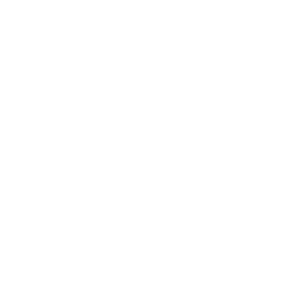 logo scritta white